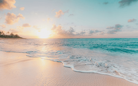 Offshore Company Formation